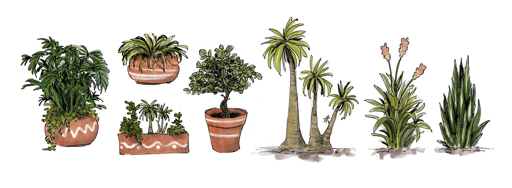 Puerto Nueva Foliage Concepts, Original Story, 2024, ink, marker, digital colour