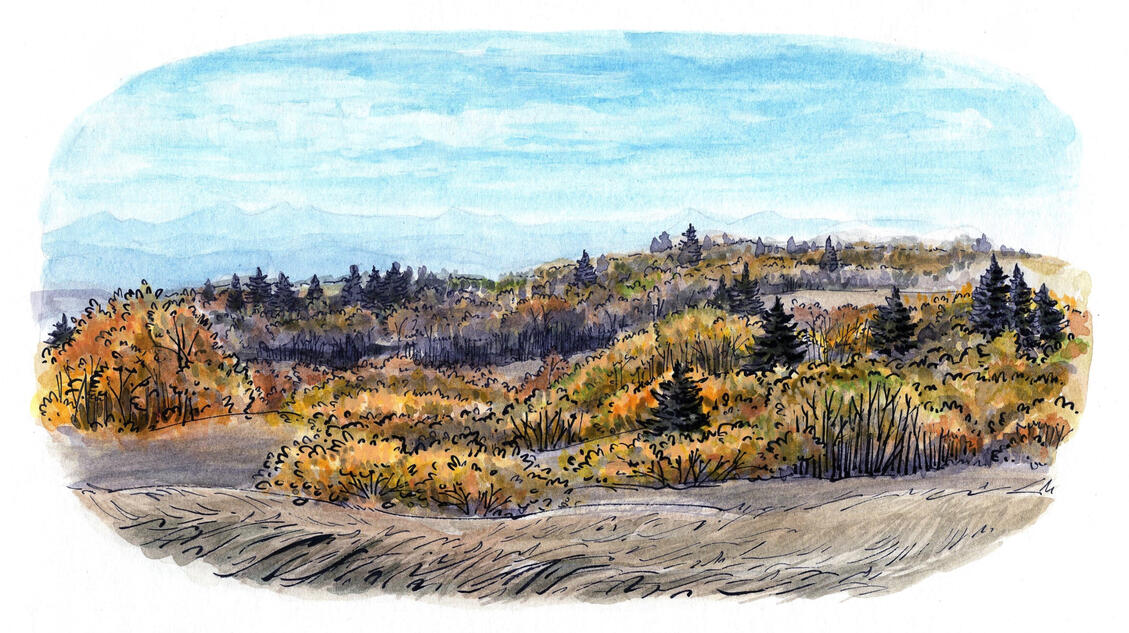 Fall Foothills, 2024, ink, watercolour