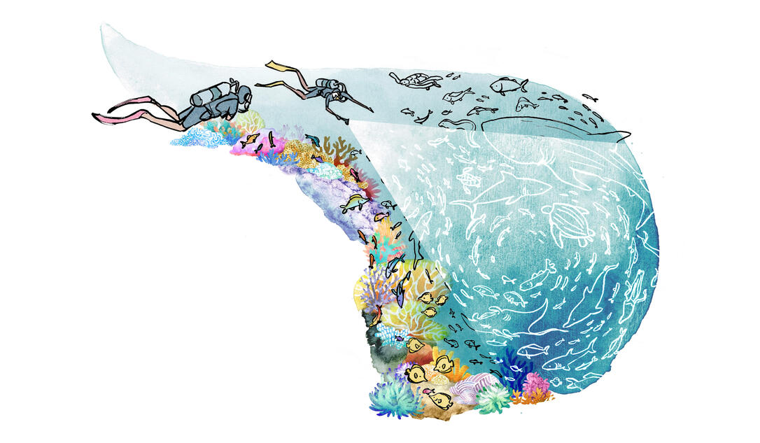 Exploration, Conceptual Illustrations for a Diving Organization, 2024, ink, watercolour textures, digital collage